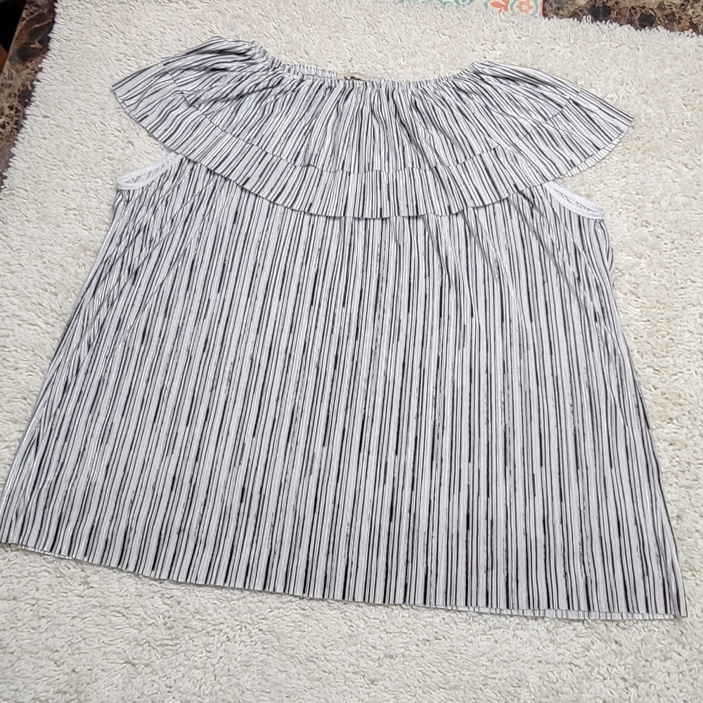 Front of Closet sleeveless blouse, Size 2X